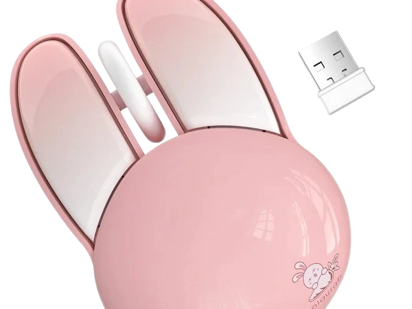 Bunny Mouse
